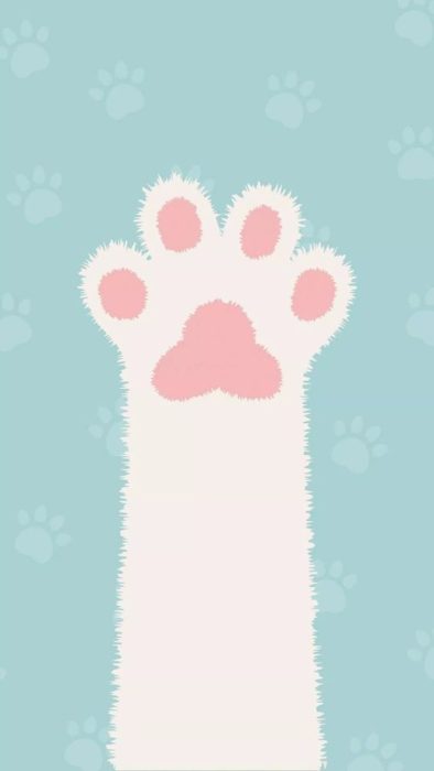 fondos de pantalla de gatos - Si tienes de mascota un gatito, este fondo de pantalla será perfecto