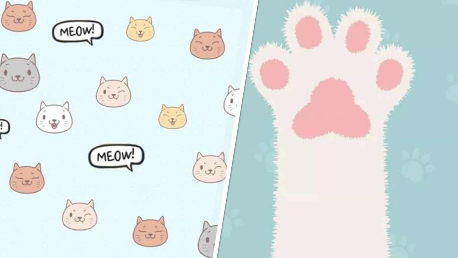 Fondos de pantalla de gatitos