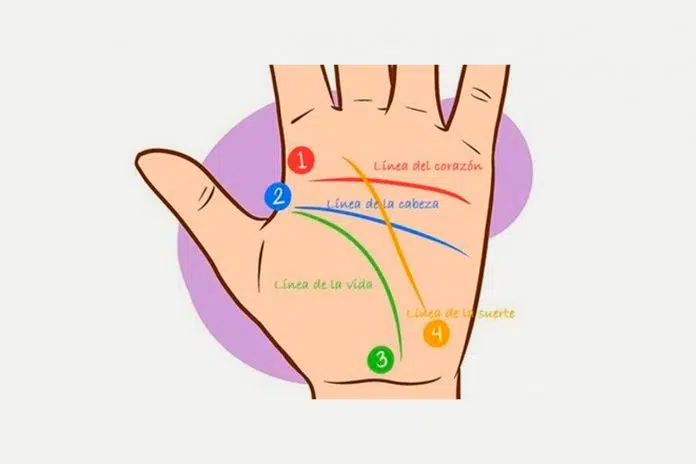 Cómo leer la palma de la mano