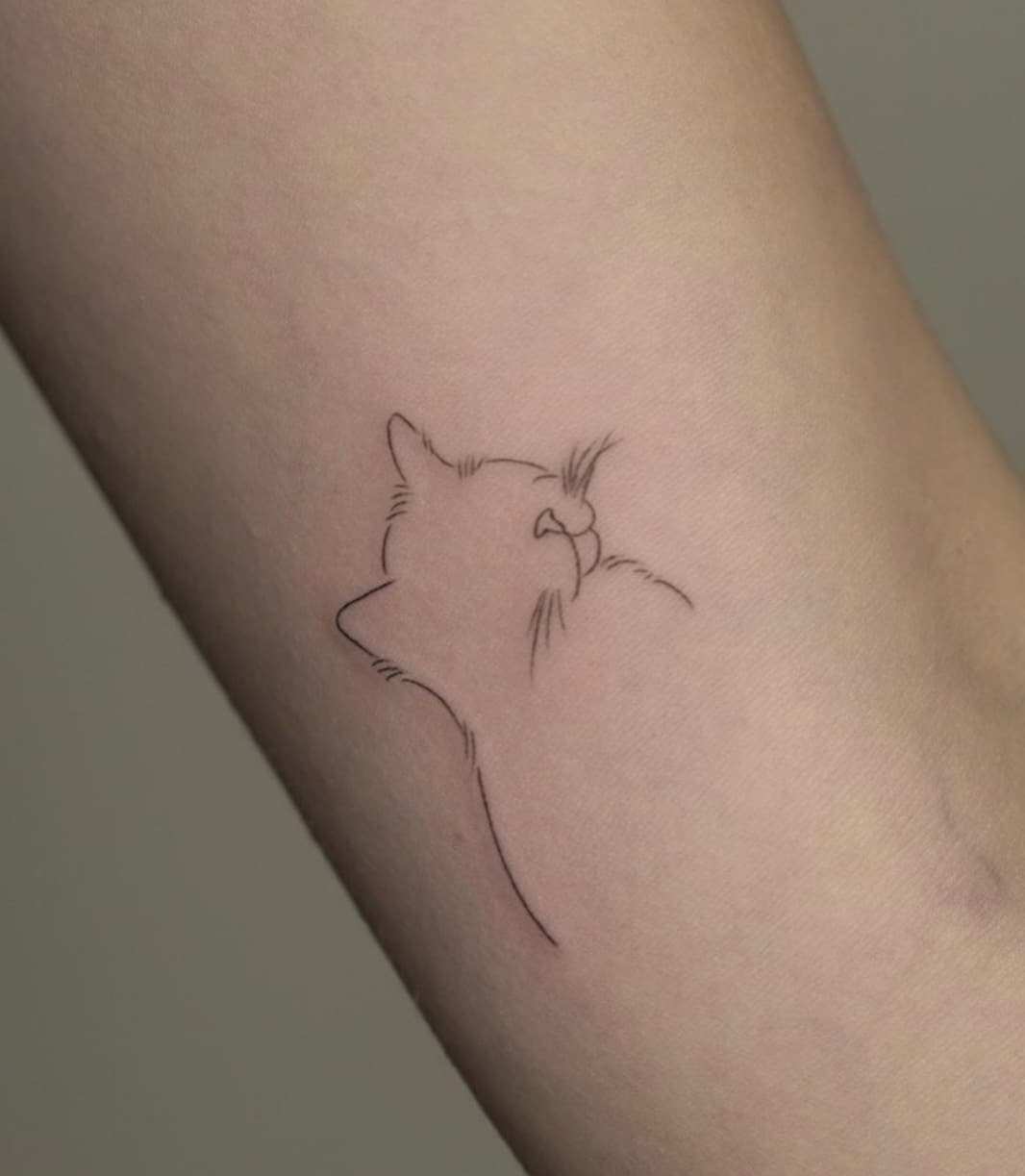 Tatuaje mini de un gato