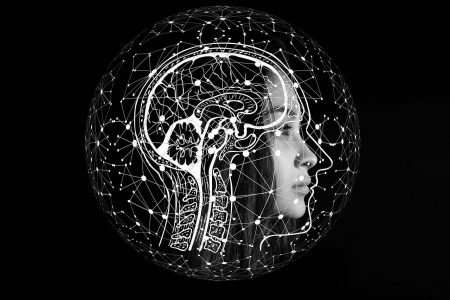 Test inteligencia