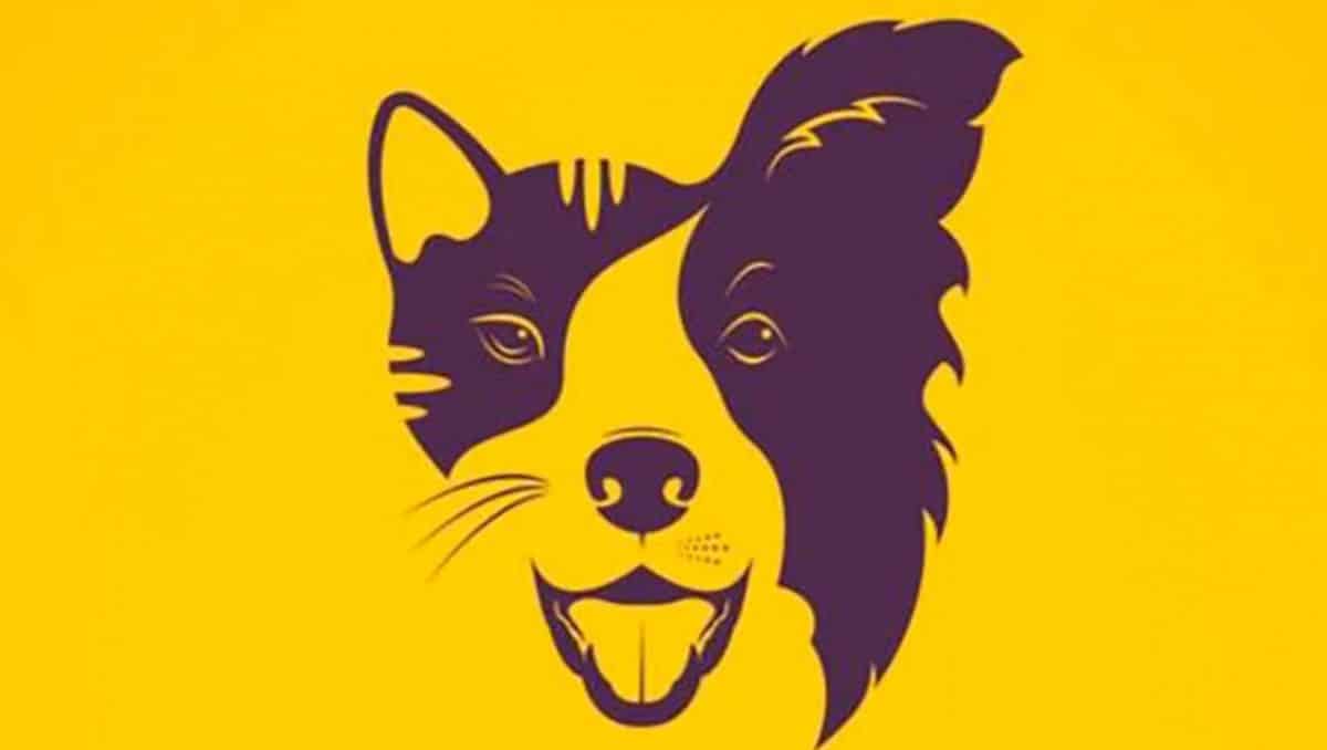 Lo primero que veas te dirá una parte secreta de ti mismo